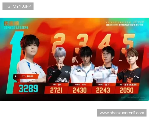 揭晓亚博开云在电竞赛事中的影响力与市场机遇